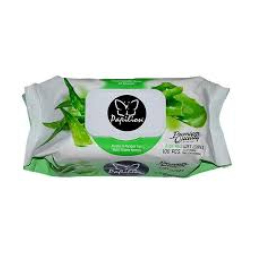 PAPILION ALOE VERA WET TOWELS 100'S W/CAP